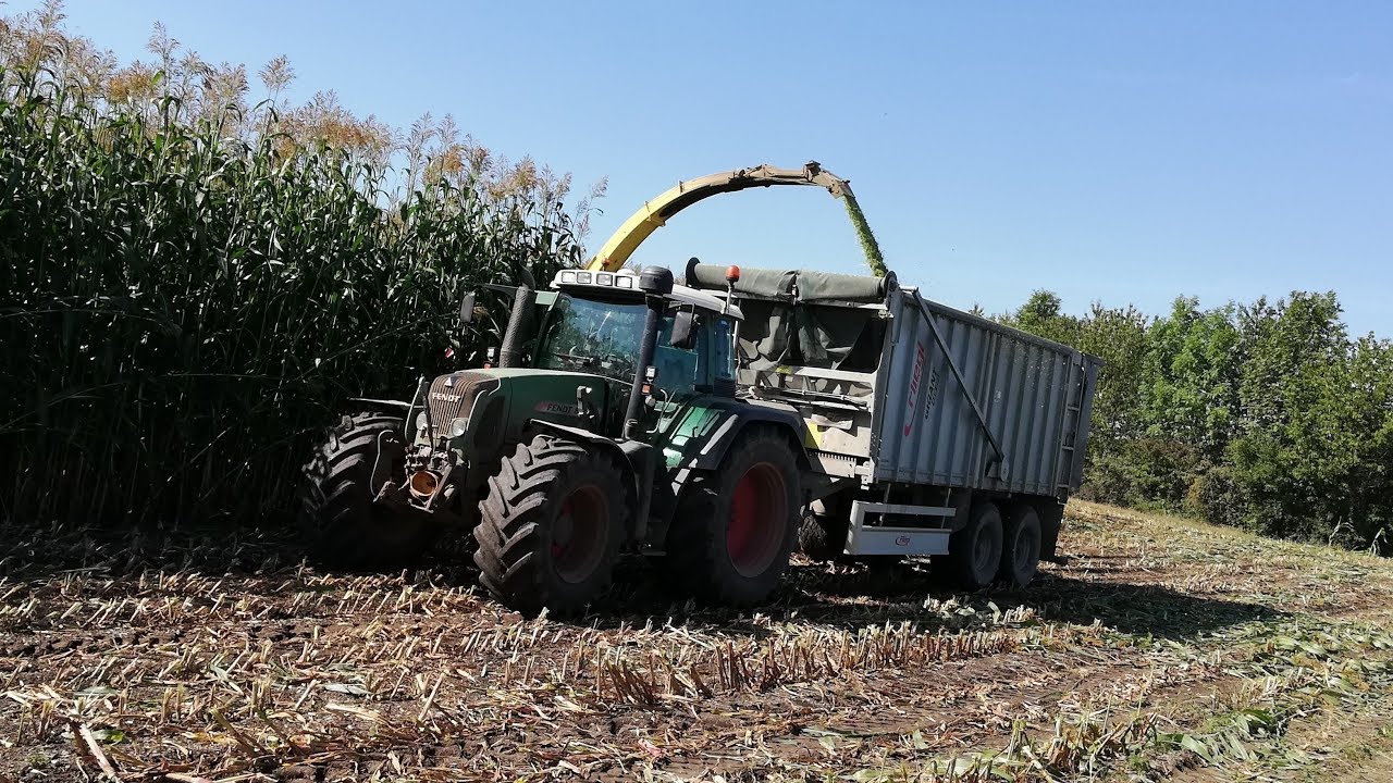 HIRSE HÄCKSELN!! mit John Deere [GoPro]