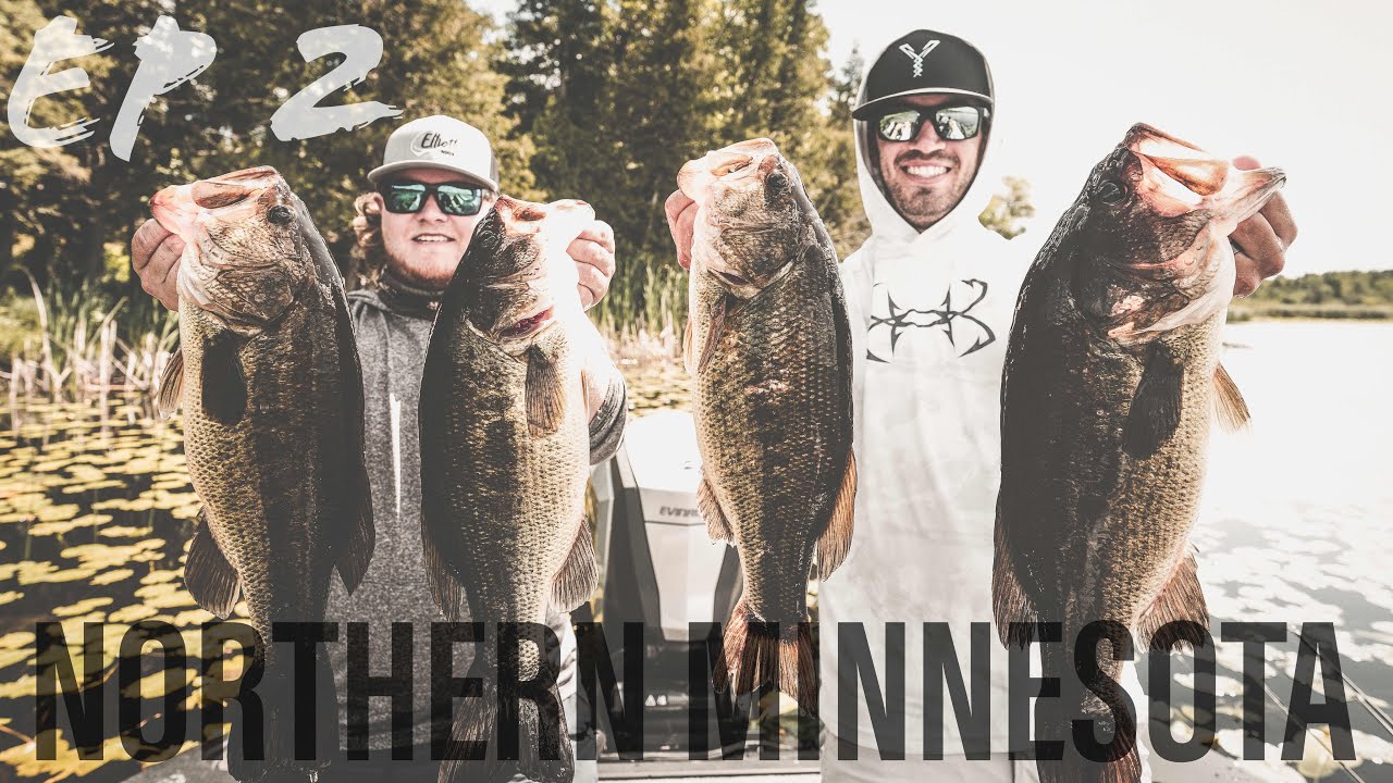 Frogging MADNESS!! ( Norther Loop #2 )