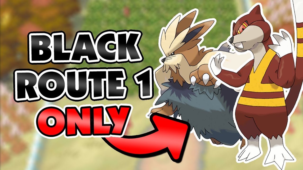 Pokemon Black Hardcore Nuzlocke but I Can Only Use Route 1 Pokemon!