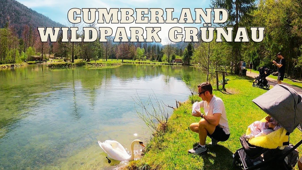 Cumberland Tierpark Gr&uuml;nau - &Ouml;sterreich