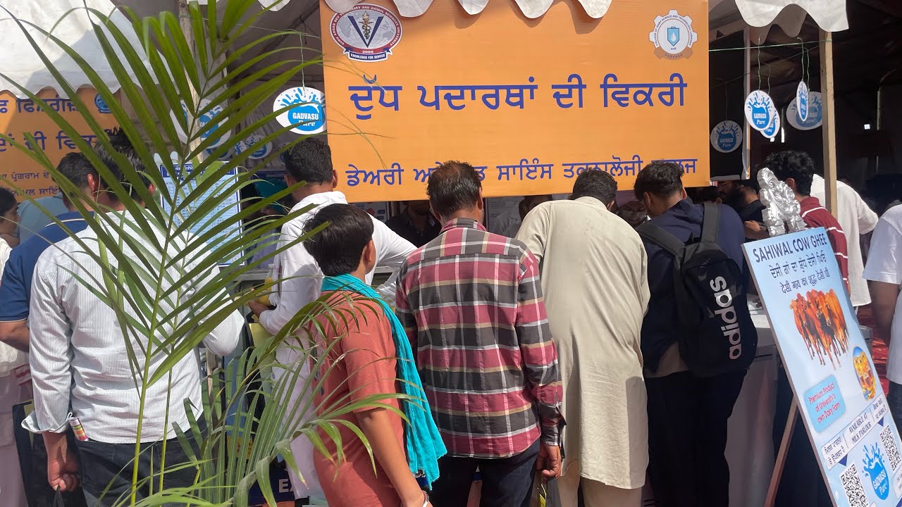 Kissan and pashu Palan mela Ludhiana #kissan #pashupalan #punjabagriculturaluniversity #gadvasu 