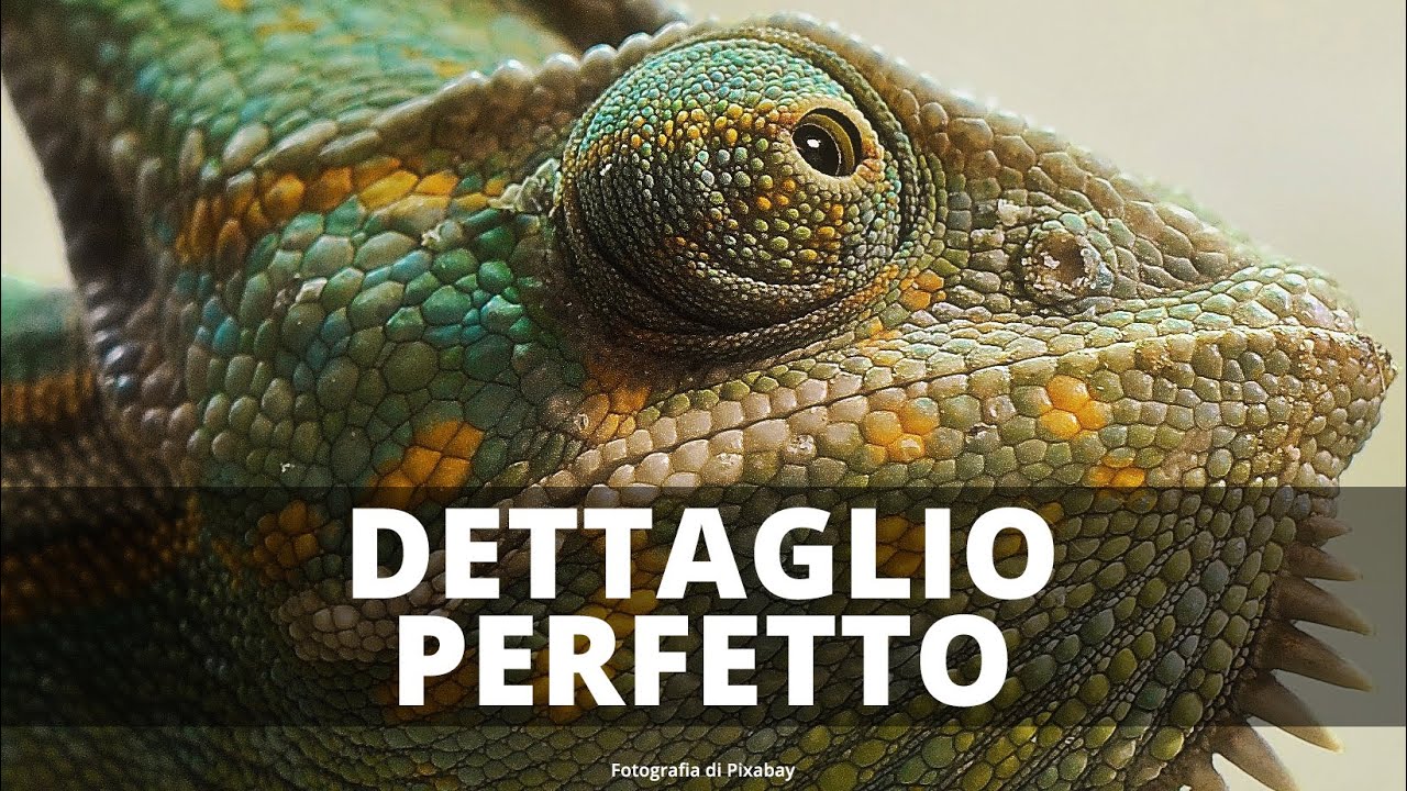 DETTAGLIO PERFETTO | in Photoshop per ogni genere fotografico