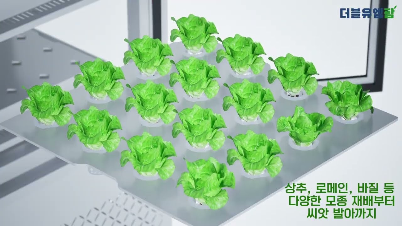 [WMASSI] [홍보 영상] 더블유엠팜 스마트팜 쇼케이스/ 홍보 영상/소개 영상