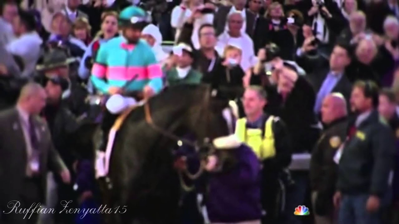 2013 Breeders Cup Promo (30th running!)