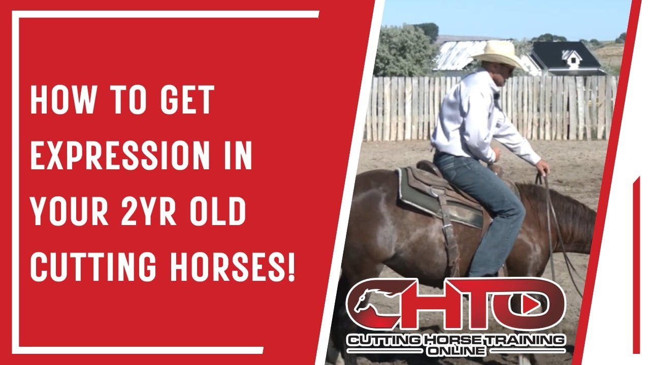 How To Get Expression In Your 2yr Old Cutting Horses!