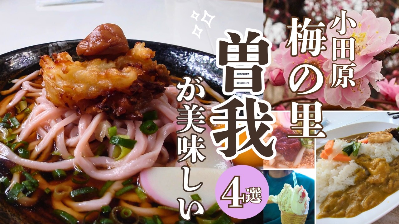 【小田原🌸曽我の美味しいお店４軒】梅の里で進化する梅食文化を巡る旅🌸Delicious Spots Using Soga Plums in Odawara🌸小田原梅之乡：使用曽我梅的美味店铺