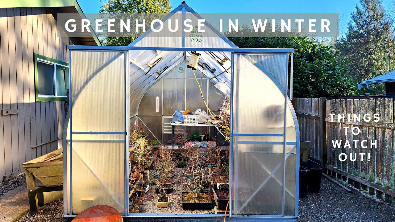 Things to watch out for greenhouse during the winter