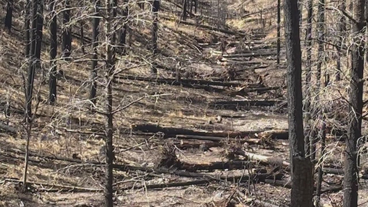 Perk Canyon burn scar restoration project aims to prevent future flooding in Ruidoso
