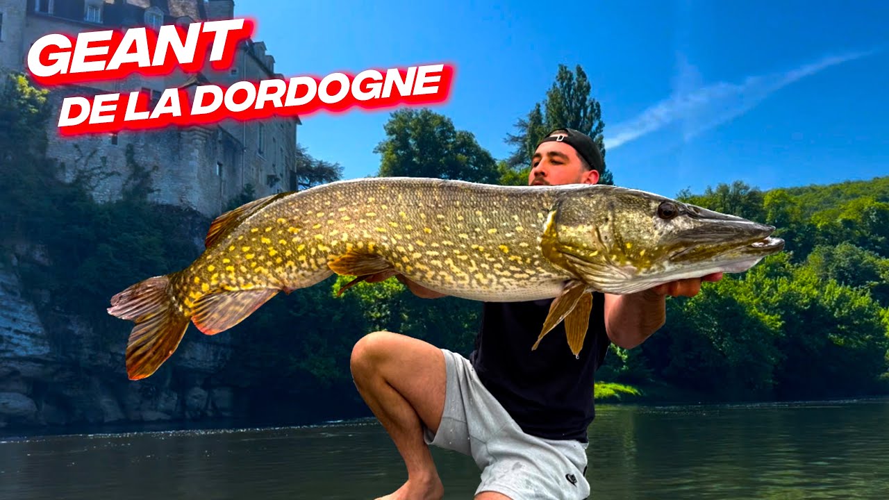 La Dordogne révèle ses secrets, PECHE DU BROCHET dans un cadre exceptionnel !!!