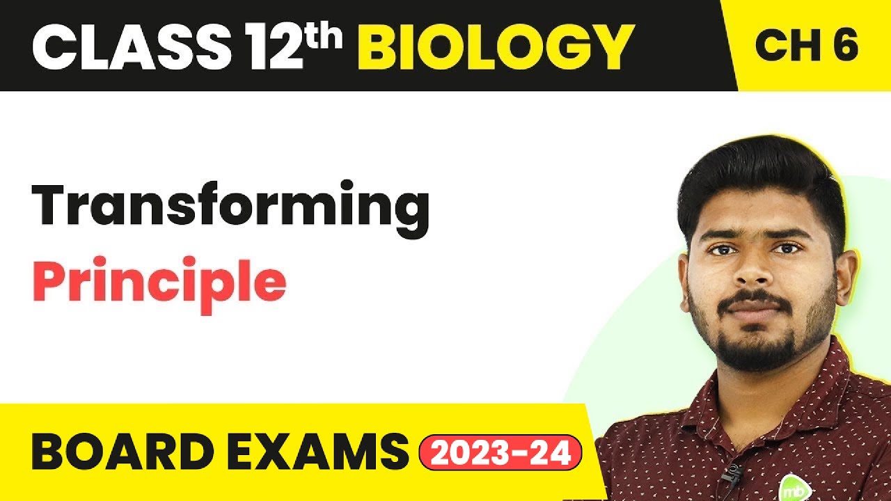 Class 12 Biology Chapter 6 | Transforming Principle - Molecular Basis of Inheritance (2022-23)