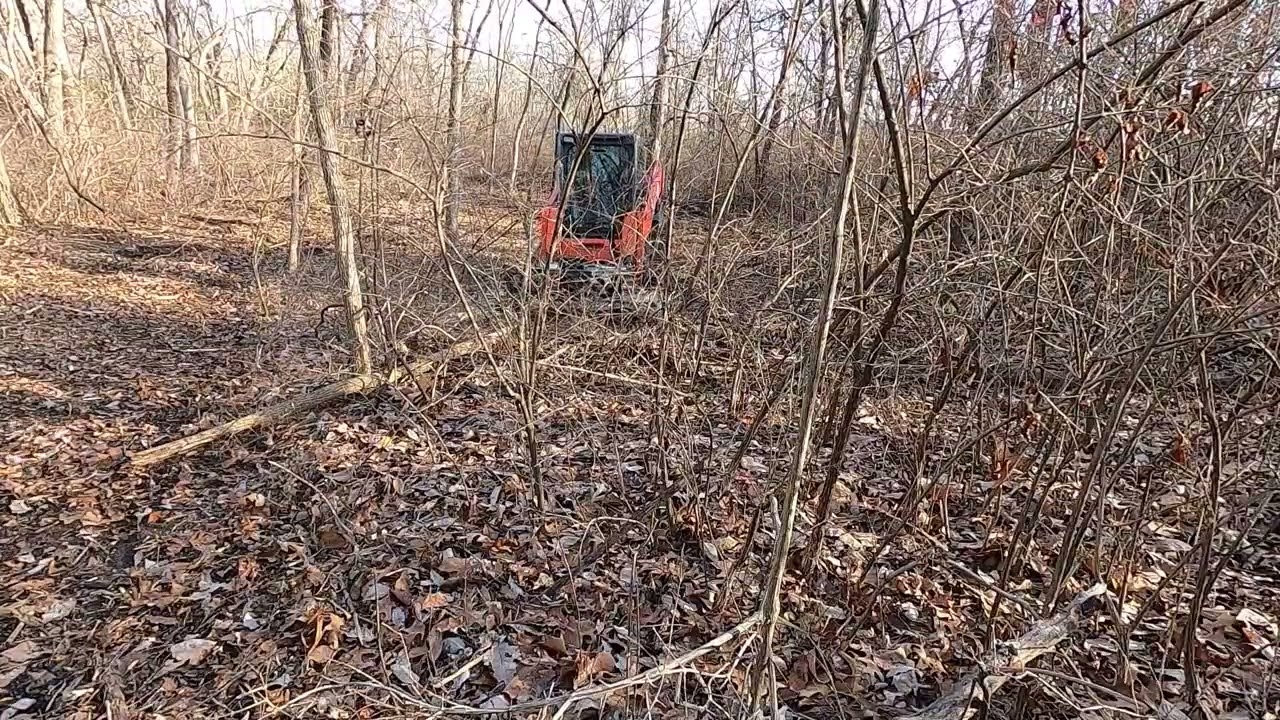 IronCraft Tree Reaper VS Lots of Brush