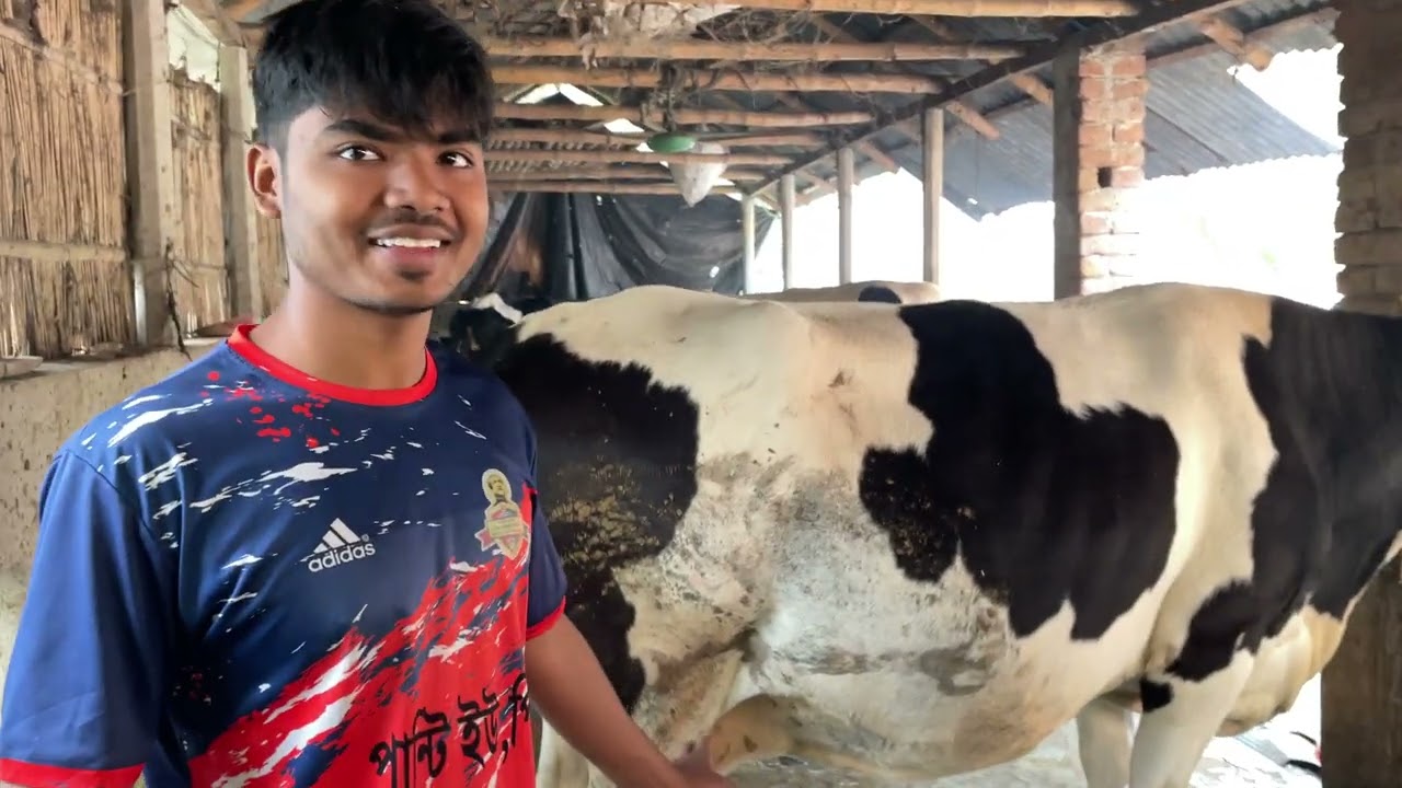 “৩ বছরে ৫০ হাজার থেকে ১৫ লক্ষ মালিক  হওয়া এক তরুন খামারির গল্প