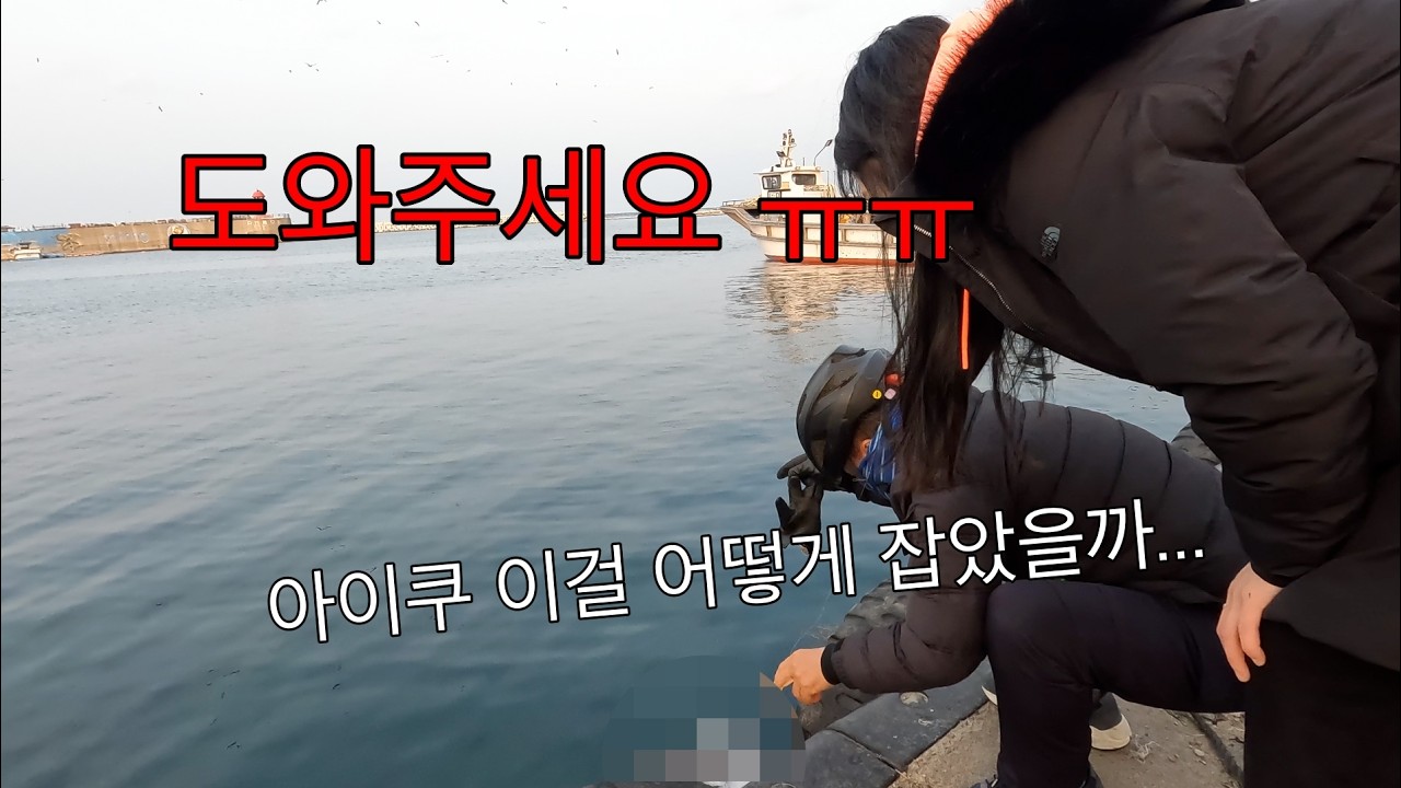 차 대고 바로! 줄줄이 쏟아지는 역대급 술안주 (손님 등장으로 큰일날뻔)