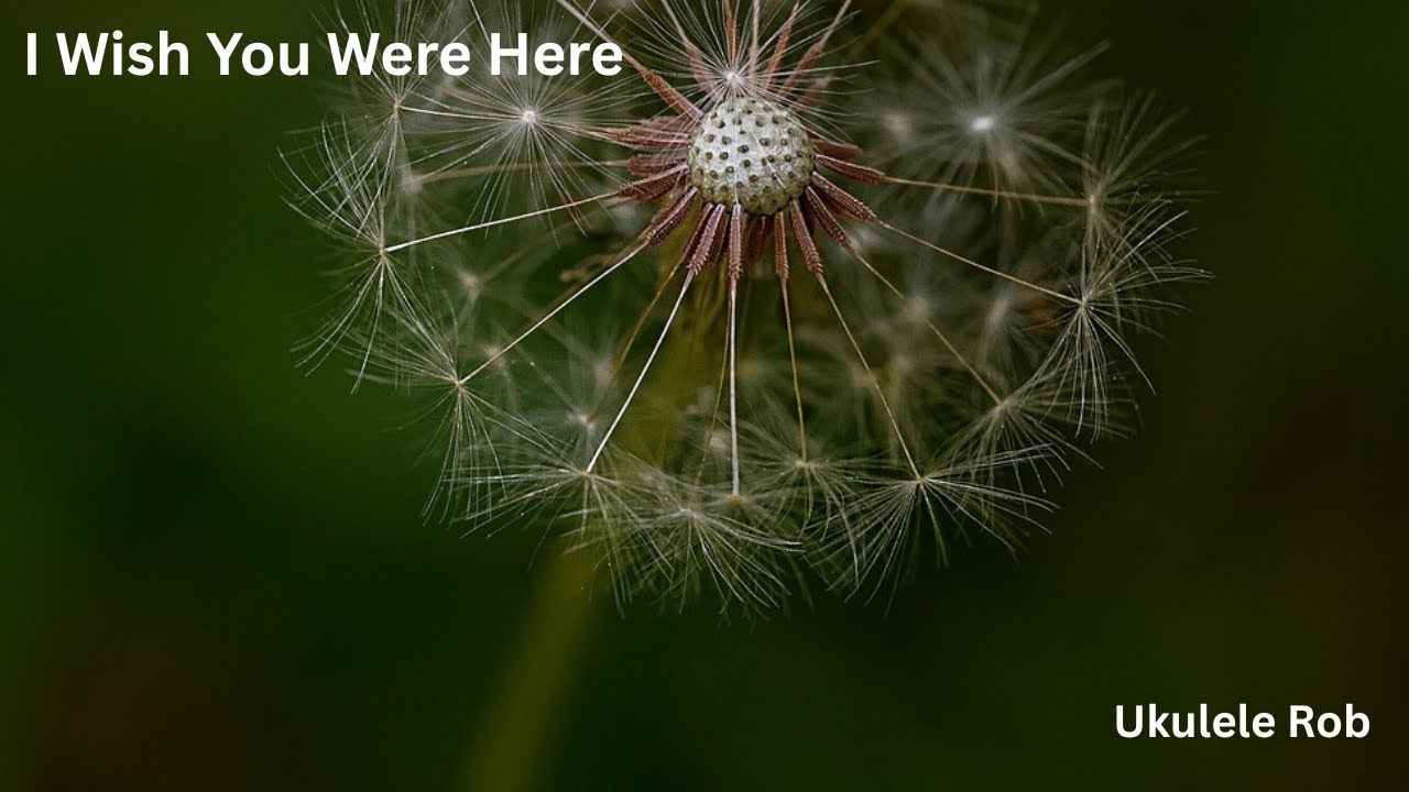 I Wish You Were Here [Баритон-укулеле] аккорды и текст песни в описании.
