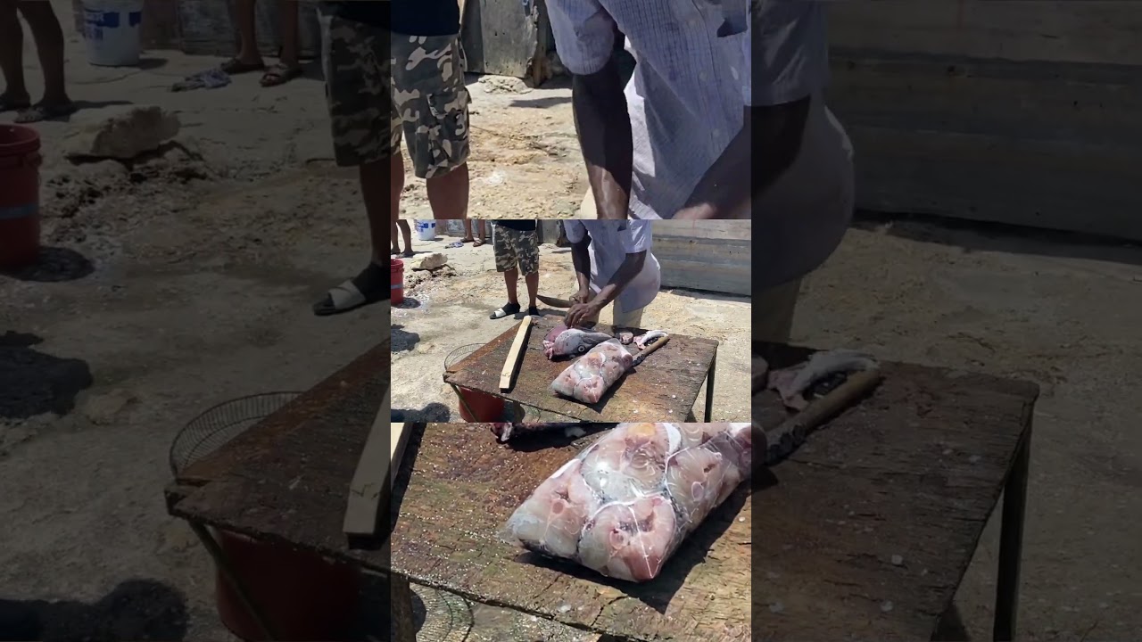 Catch and Clean at the Fishermen’s Beach near Coral Gardens 🇯🇲 for a Fish Fry pt. 2