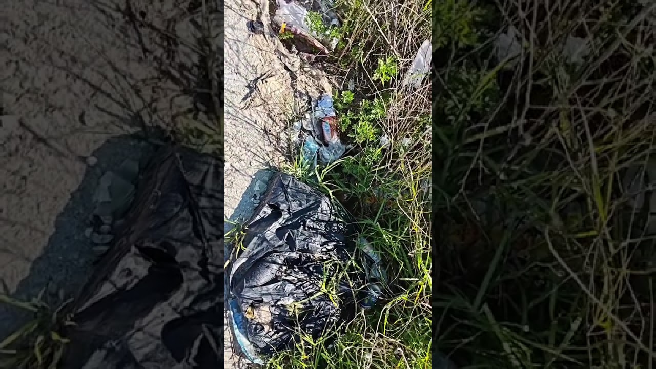 GRUPO CÍVICO DE LIMPIEZA Y CONCIENCIACIÓN CIUDADANA DE SANLÚCAR DE BARRAMEDA FEBRERO DEL 2O26 