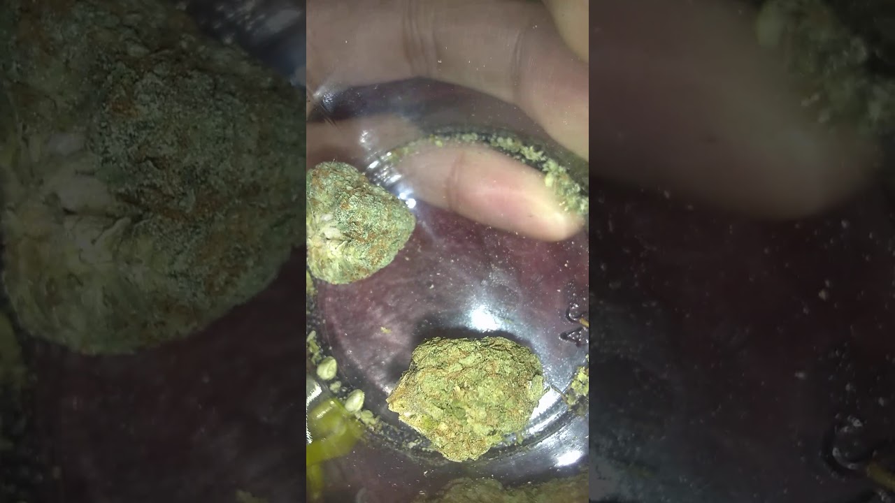 🍊 Orange Cookies Cbd Strain