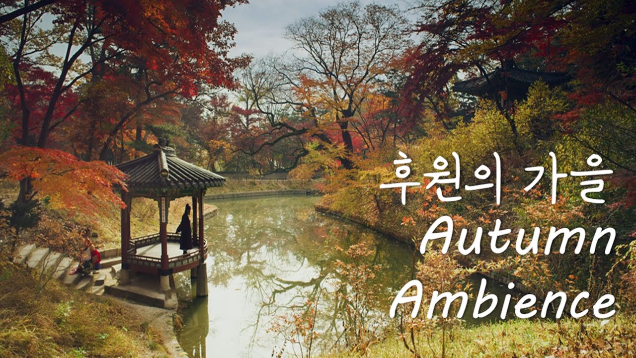 Autumn Ambience ASMR 🍂 Walking in the secret garden of Changdeokgung Palace
