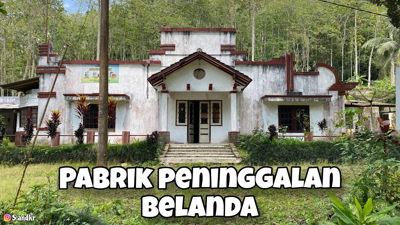 Pabrik teh sumberpandan tulungaggung | Suasana sejuk di kaki gunung wilis❗️#wisatatulungagung 