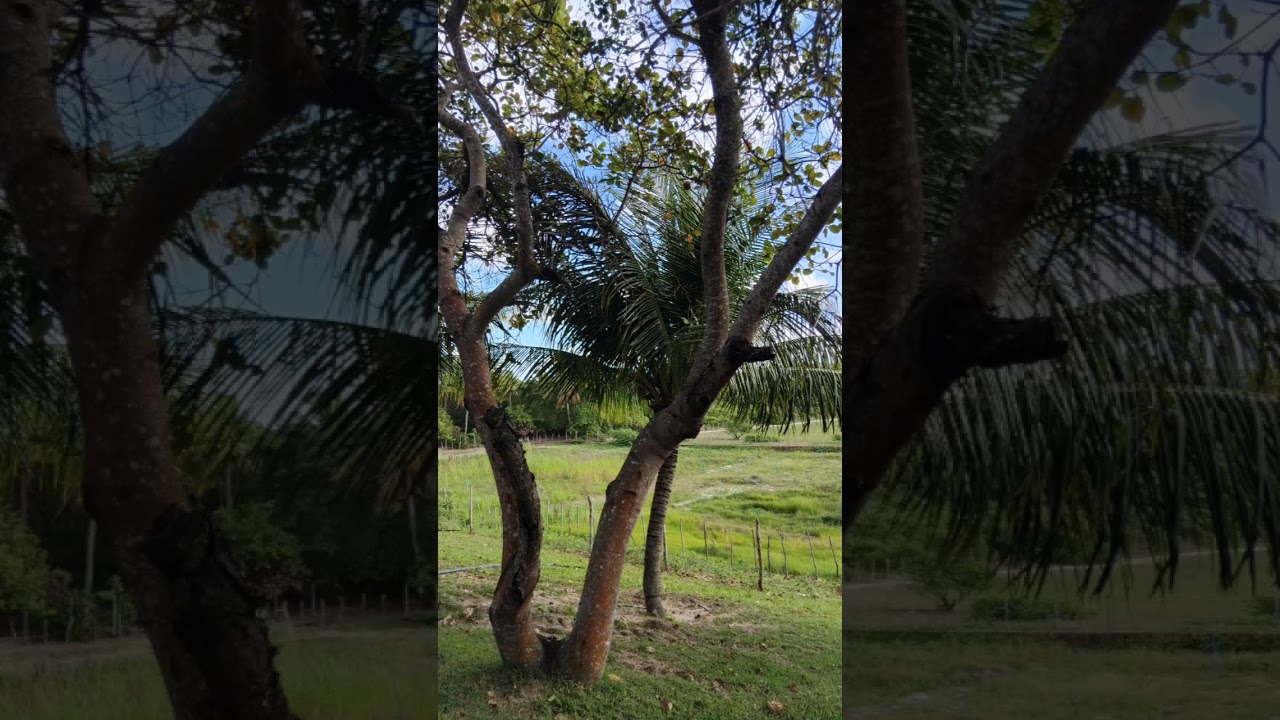 Força do Bem, 2019 - Grupo Bem