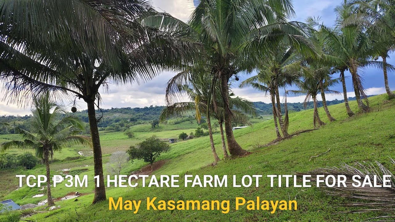 #Vlog357 FARM LOT 1 HECTARE TCP ₱3M TITLE FOR SALE