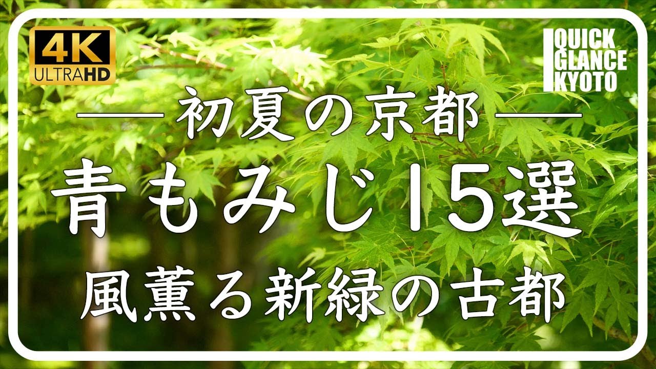 京都、初夏の青もみじ。清々しい青もみじに包まれた初夏の京都をご覧ください。瑠璃光院〜永観堂〜常寂光寺〜清水寺〜法然院〜東福寺〜北野天満宮 御土居〜天龍寺〜宝厳院〜など [No.320] #青もみじ