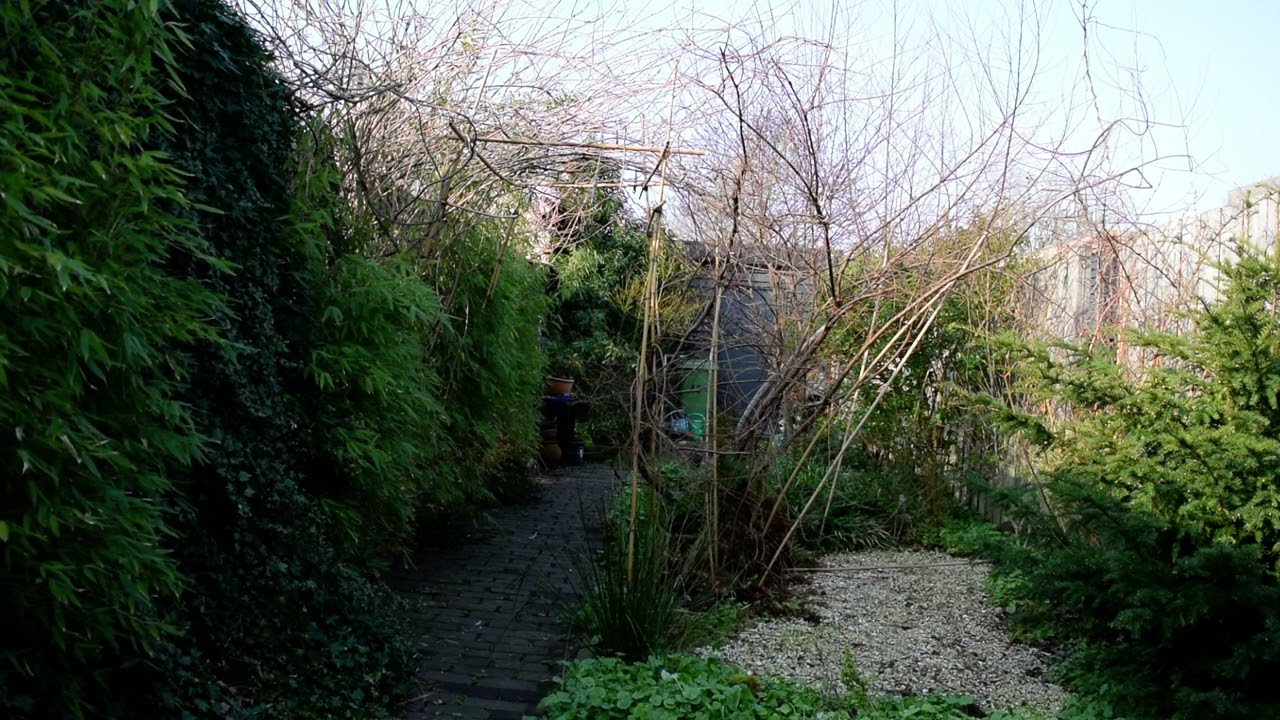The boring Garden #085