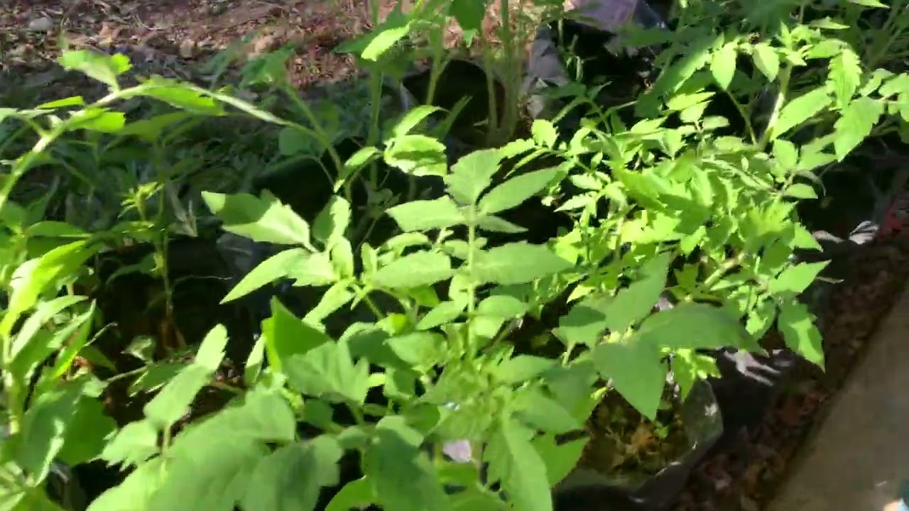 6 กุมภาพันธ์ 2569