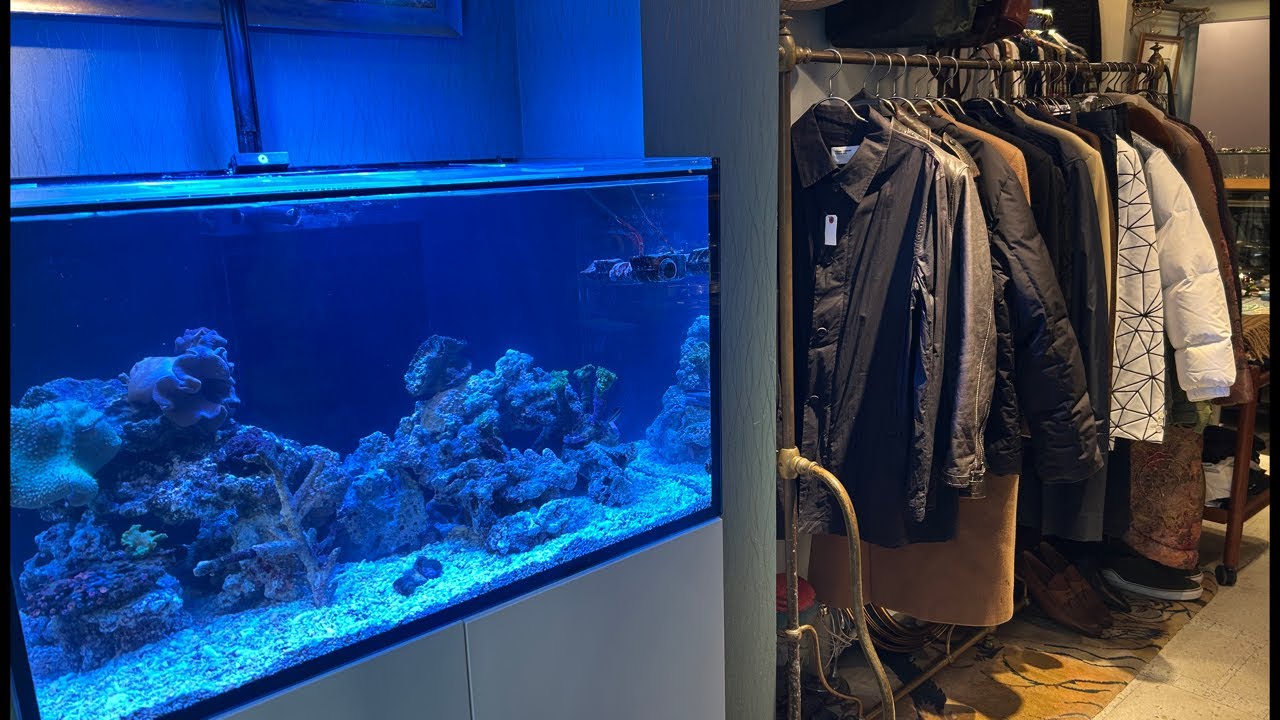 【reefer250オーバーホール】三軒茶屋のオシャレなビンテージショップ『NOIR（ノワール）』様