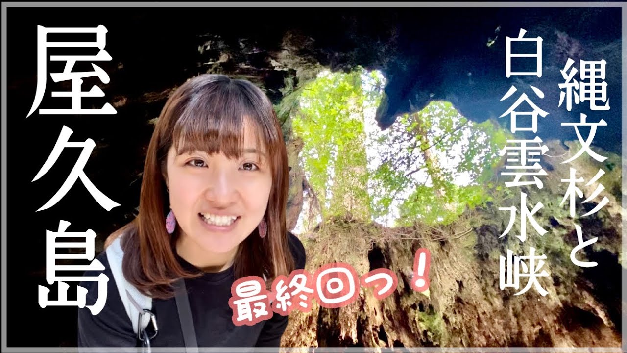 【屋久島 縦走4日目】〈縄文杉と白谷雲水峡とウィルソン株♡〉堪能できるのはたった7時間！ありえないコケの世界！