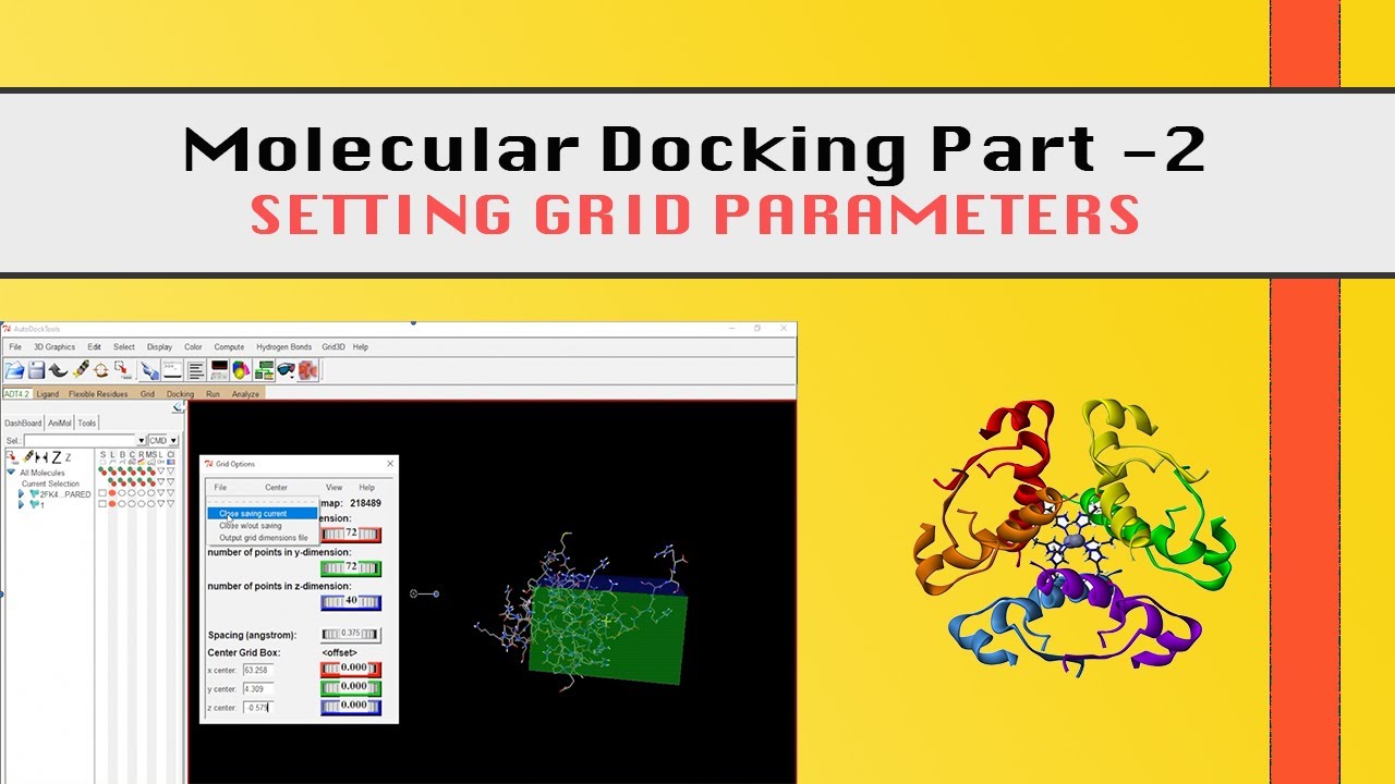 Molecular Docking Part - 2 | Setting Grid Parameters | Computer-Aided Drug Designing.