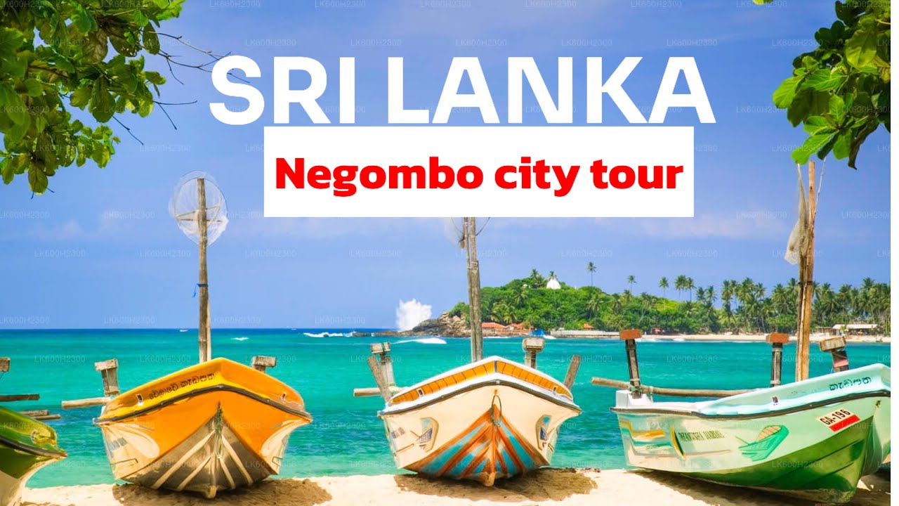 NEGOMBO CITY TOUR🔥#srilanka 🔥 #travel