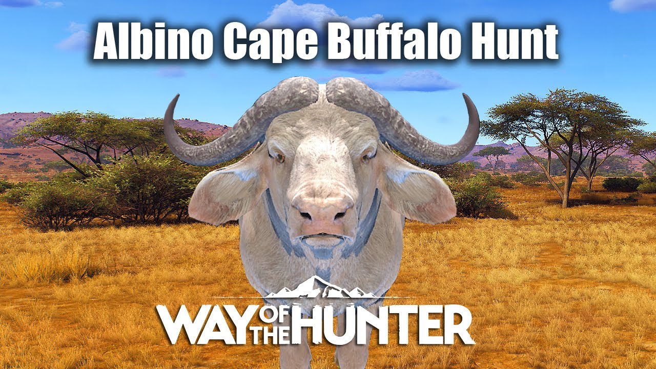 Way Of The Hunter - Albino Cape Buffalo Hunt