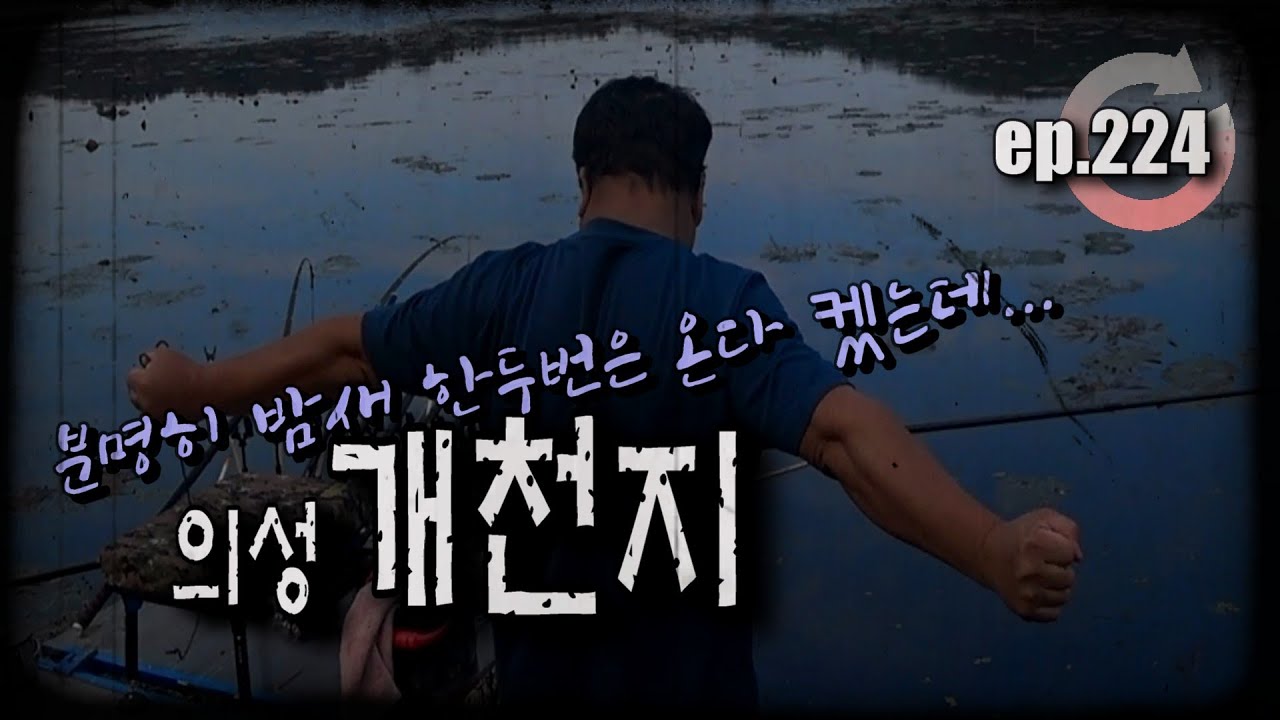 [ep.224] 밤새 한두번은 꼭 입질이 들어온다고...믿고 가본다!! 의성 개천지 #개천지 #개천저수지