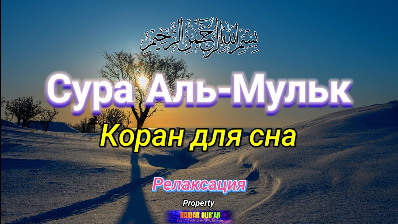 Поистине удивительное и прекрасное чтение (Сура Аль-Мульк)