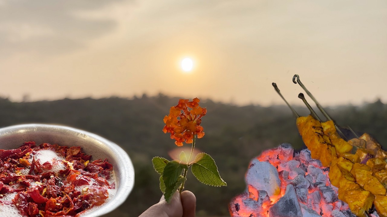 Relaxing Nature Cooking | Charcoal BBQ with Beautiful Sunset