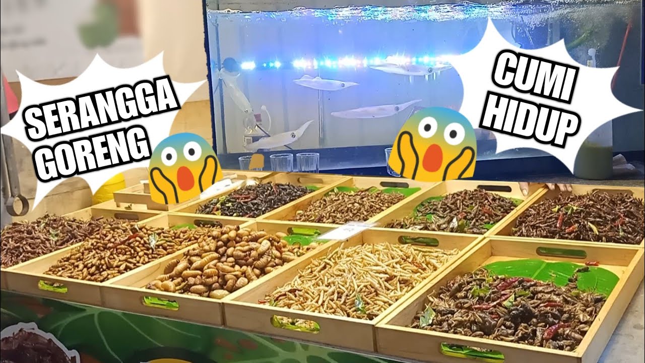 Ada CUMI HIDUP dan SERANGGA GORENG : Aneka Street Food di Jodd Fairs Thailand