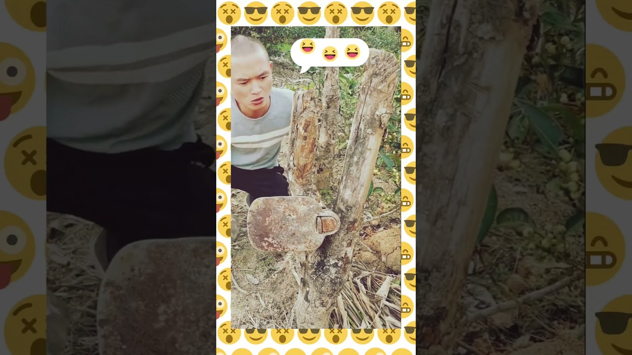 #shortvideo #shorts 🐸😂😂😂😂😂 #shortvideo #comedyams #funny #amstv #funnyvideos #fun #comedymovies