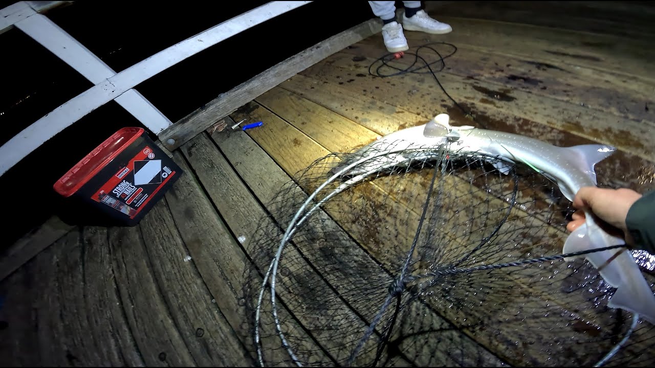 Unforgettable Night Fishing at Lagoon Pier: A Catch to Remember