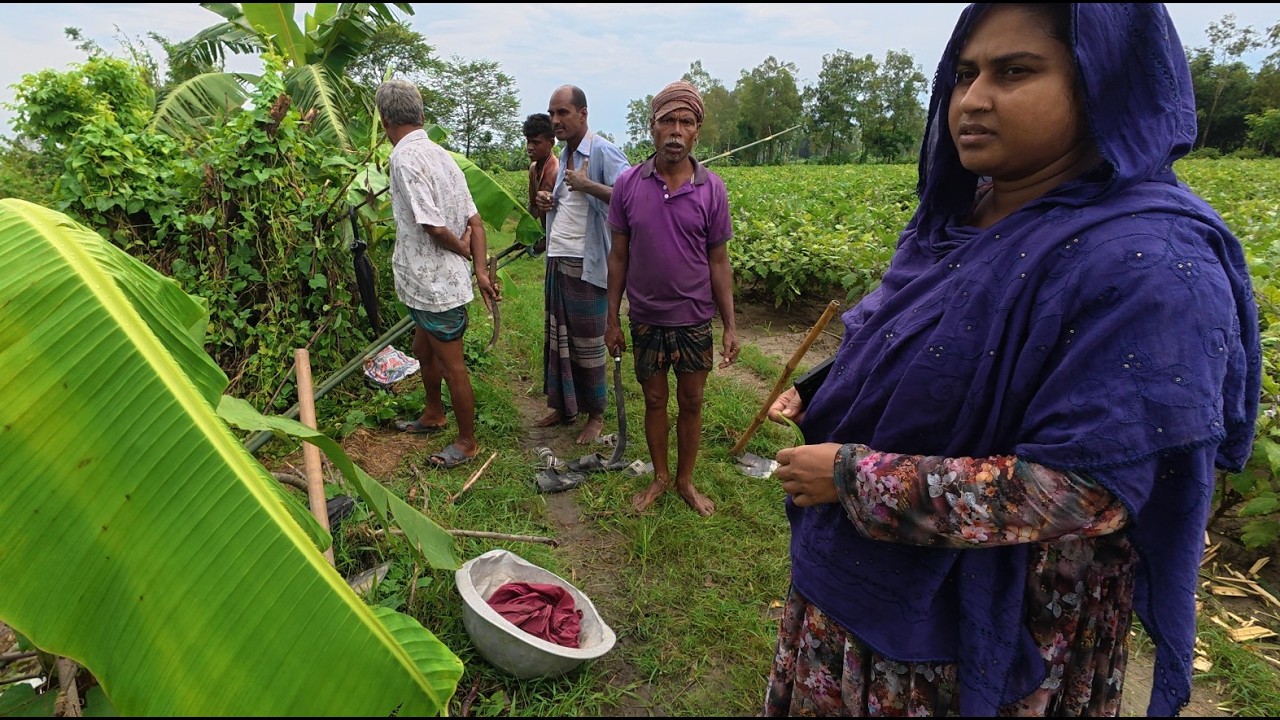 লাখ টাকার মাছ ভেসে গেল বৃষ্টির পানিতে | Doyel Agro