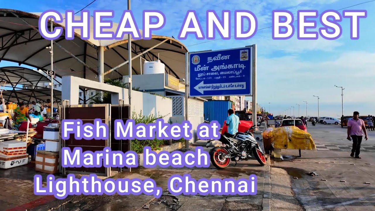 🐟 New Fish Market at Marina Beach Lighthouse | Chennai’s Fresh Seafood Heaven!