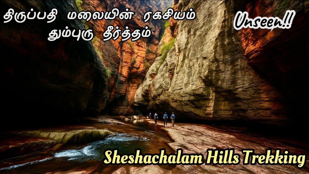 நீங்கள் பார்த்திராத திருப்பதி, திருமலையின் தும்புரு தீர்த்தம் #sheshachalam #forest #tirumala #hills