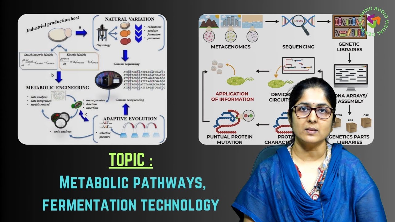 Metabolic Pathways, Fermentation Technology by Dr. P Archana Rao