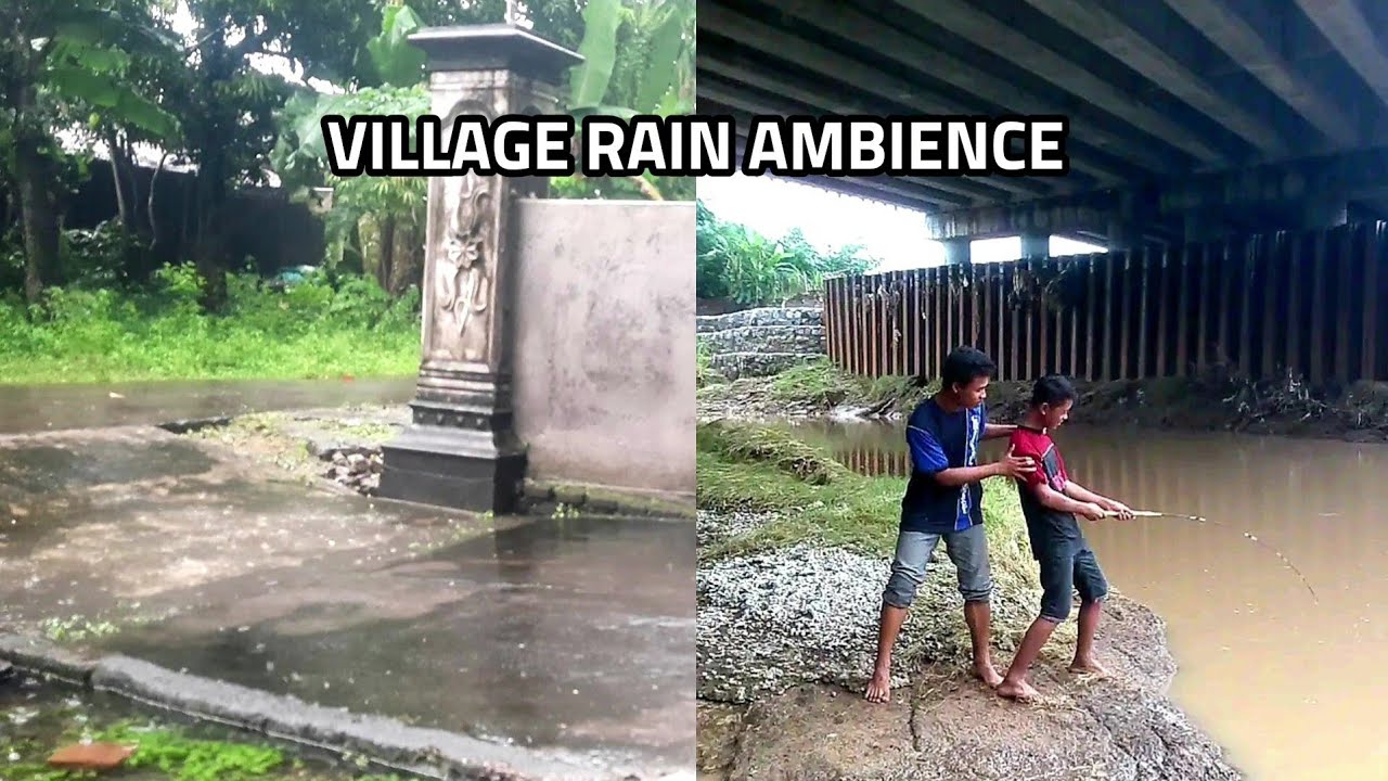 Evening Rain Ambience | Village Rain Sounds for Sleeping
