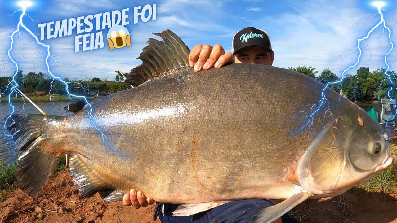 TEMPESTADE NOS PEGOU DE SURPRESA!!! Pesqueiro Stella Bilac-SP