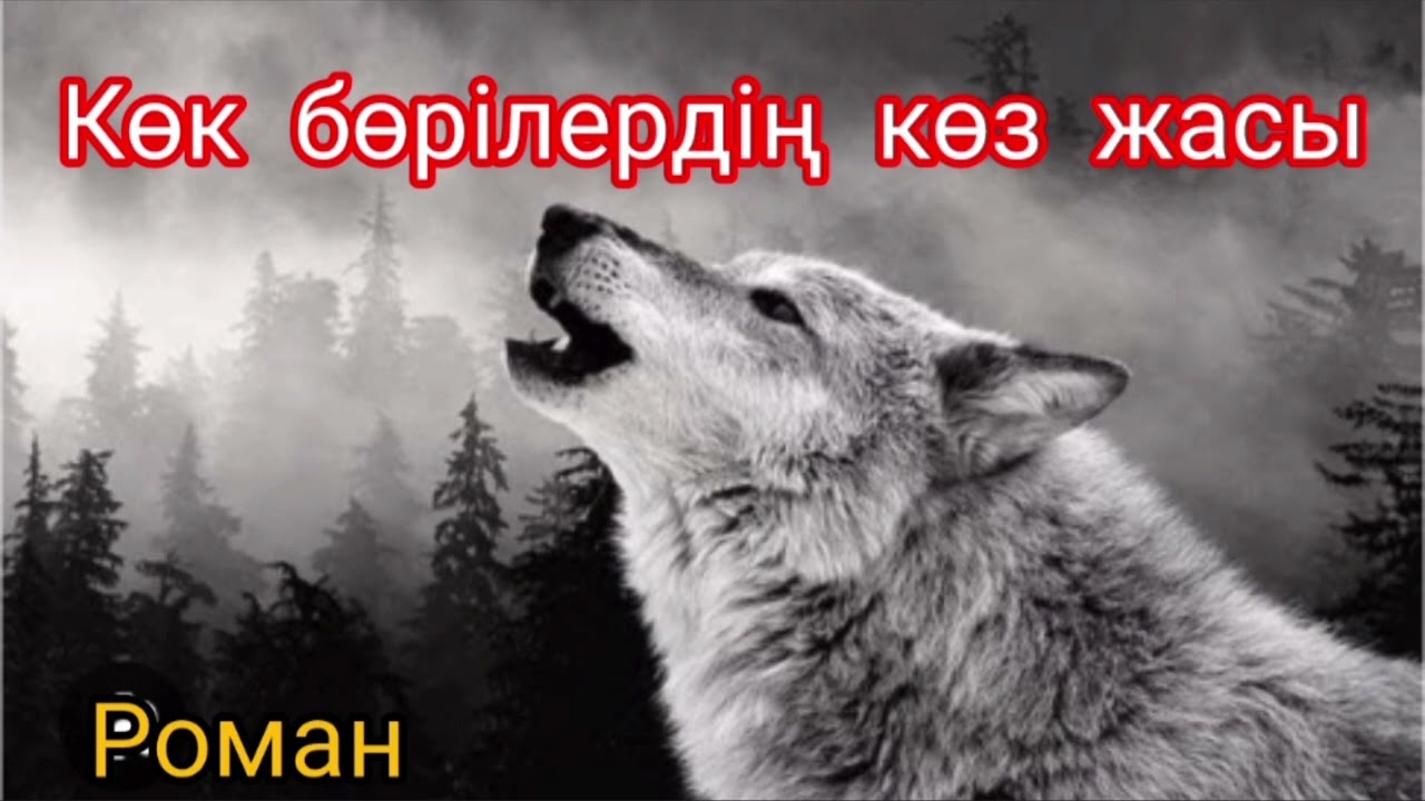 Көк бөрілердің көз жасы 1-ші бөлім | Тұрсынхан Зәкен | #роман |