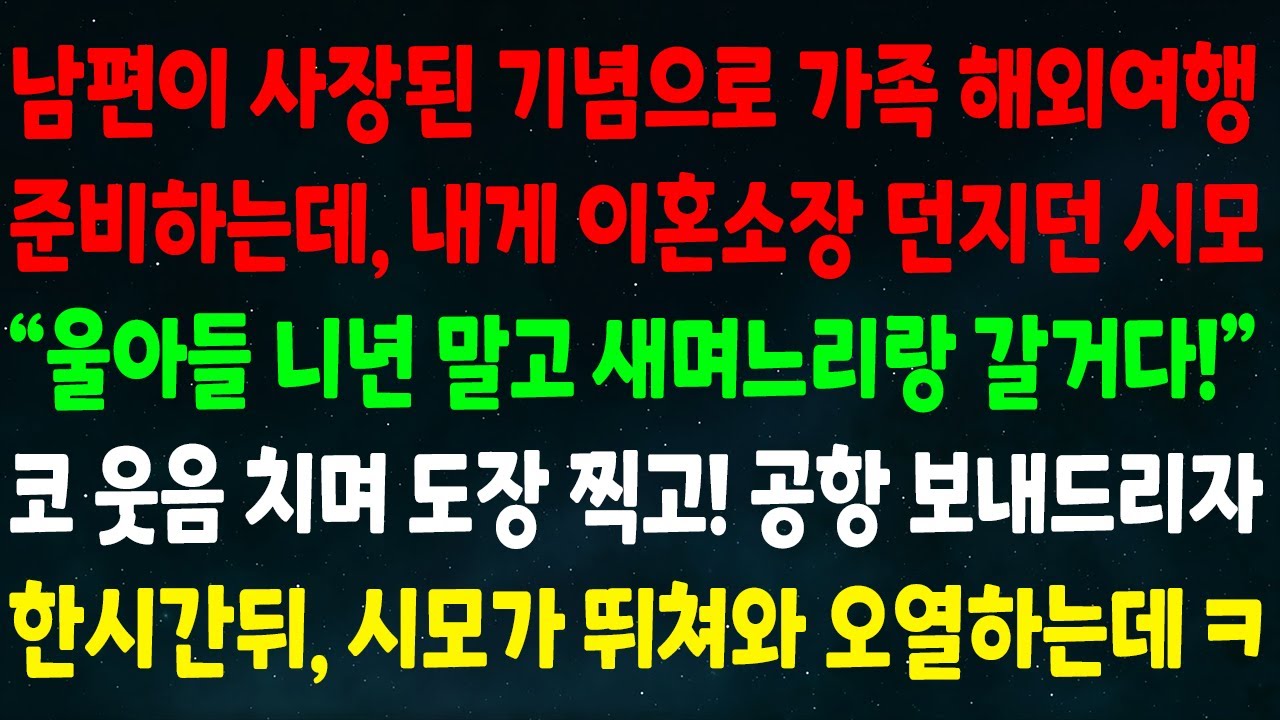 (실화사연) 남편이 사장된 기념으로 가족 해외여행 준비하는데 내게 이혼소장 준 시모 