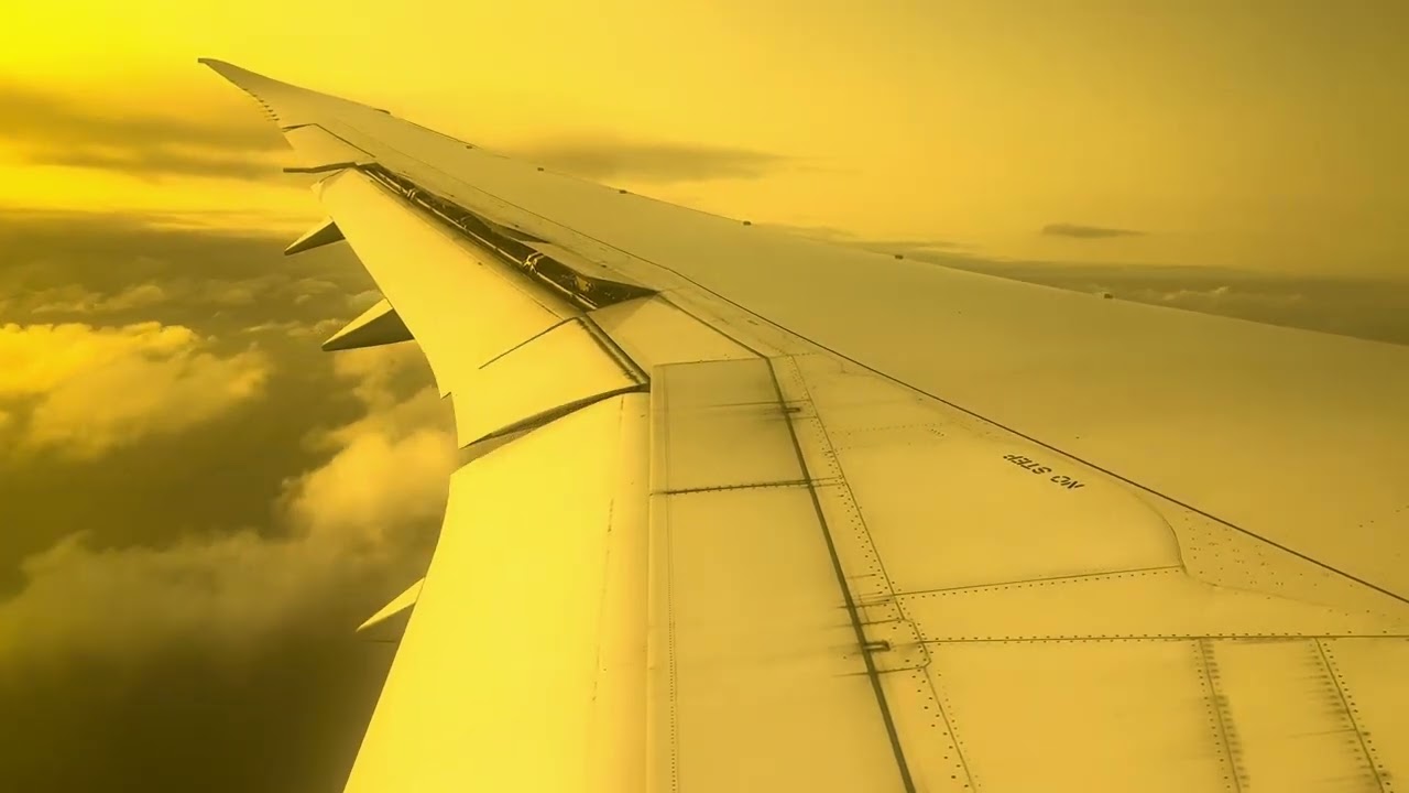 Air Canadá Boeing 787-8 Landing at Copenhagen 🇩🇰 