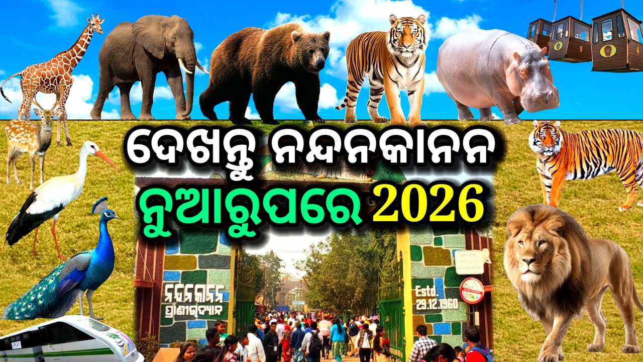 ଦେଖନ୍ତୁ ନୂଆ ରୂପରେ ନନ୍ଦନକାନନ, nandankanan zoological park, nandankanan 2026, nandankanan zoo, tiger