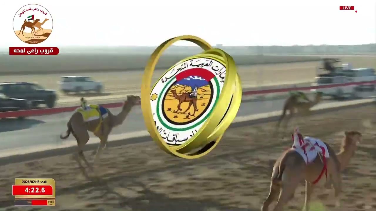 الشوط 9..احتلال لـ حمد محمد سهيل العامري 9:18:61 ( تمهيدي الوثبة 2026 )